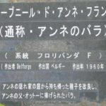 島田紳助名言 格言集100選プラスa Episode03 言霊の備忘録