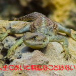 人生において無駄なことはない!