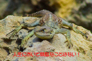 人生において無駄なことはない!