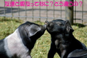友達と親友ってなに?どう違うの?