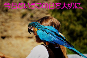 今日というこの日を大切に。