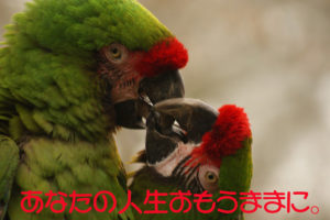 あなたの人生おもうままに。